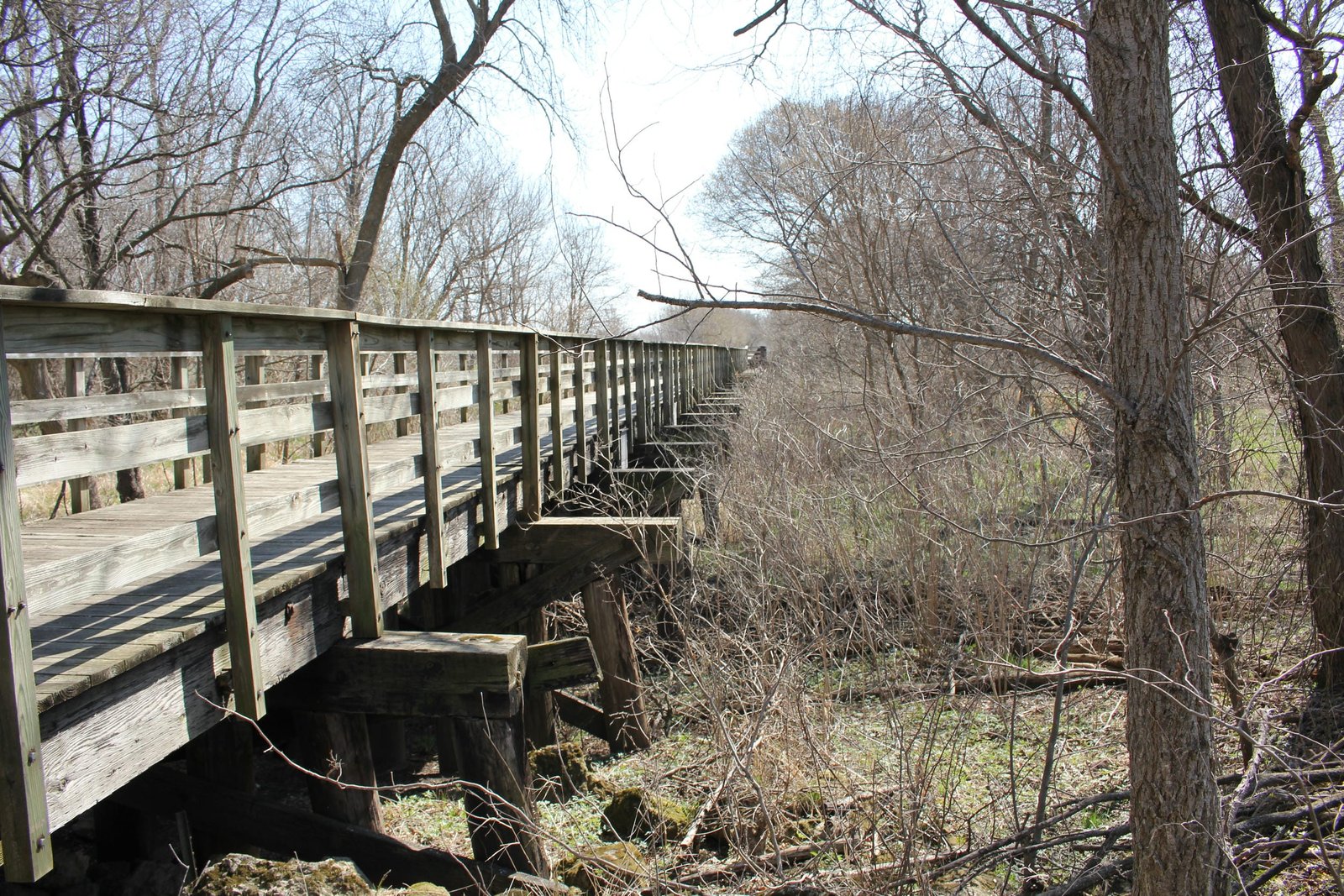Looking east (railroad north)